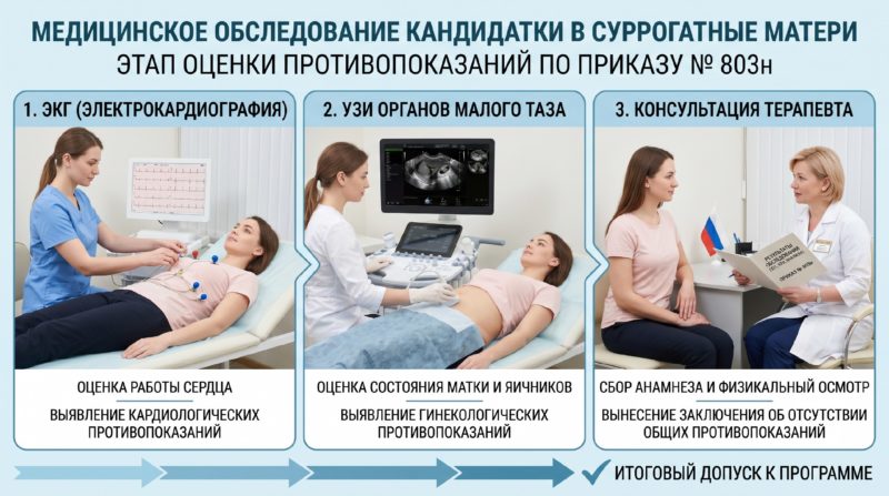 Медицинское обследование кандидатки в суррогатные матери, ЭКГ, УЗИ, консультация терапевта (этап оценки противопоказаний по Приказу № 803н)